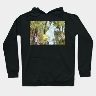 trunk with mushrooms Hoodie